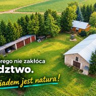 Dom na sprzedaż