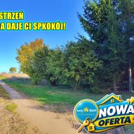 Dom na sprzedaż